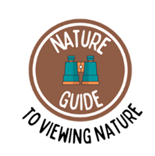 Nature Guide Badge to Viewing Nature Clipart image binoculars